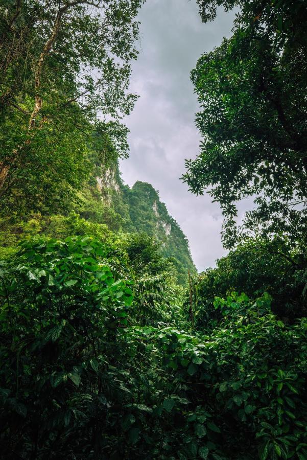 Our Jungle House Hotel Khao Sok National Park Bagian luar foto