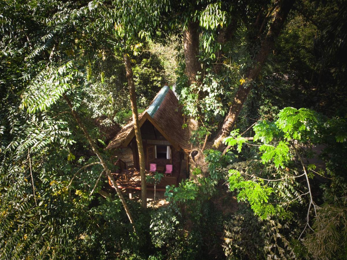 Our Jungle House Hotel Khao Sok National Park Bagian luar foto