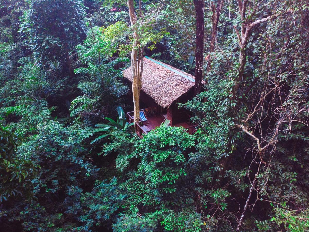 Our Jungle House Hotel Khao Sok National Park Bagian luar foto