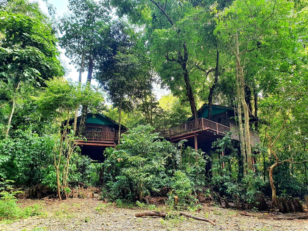 Our Jungle House Hotel Khao Sok National Park Bagian luar foto