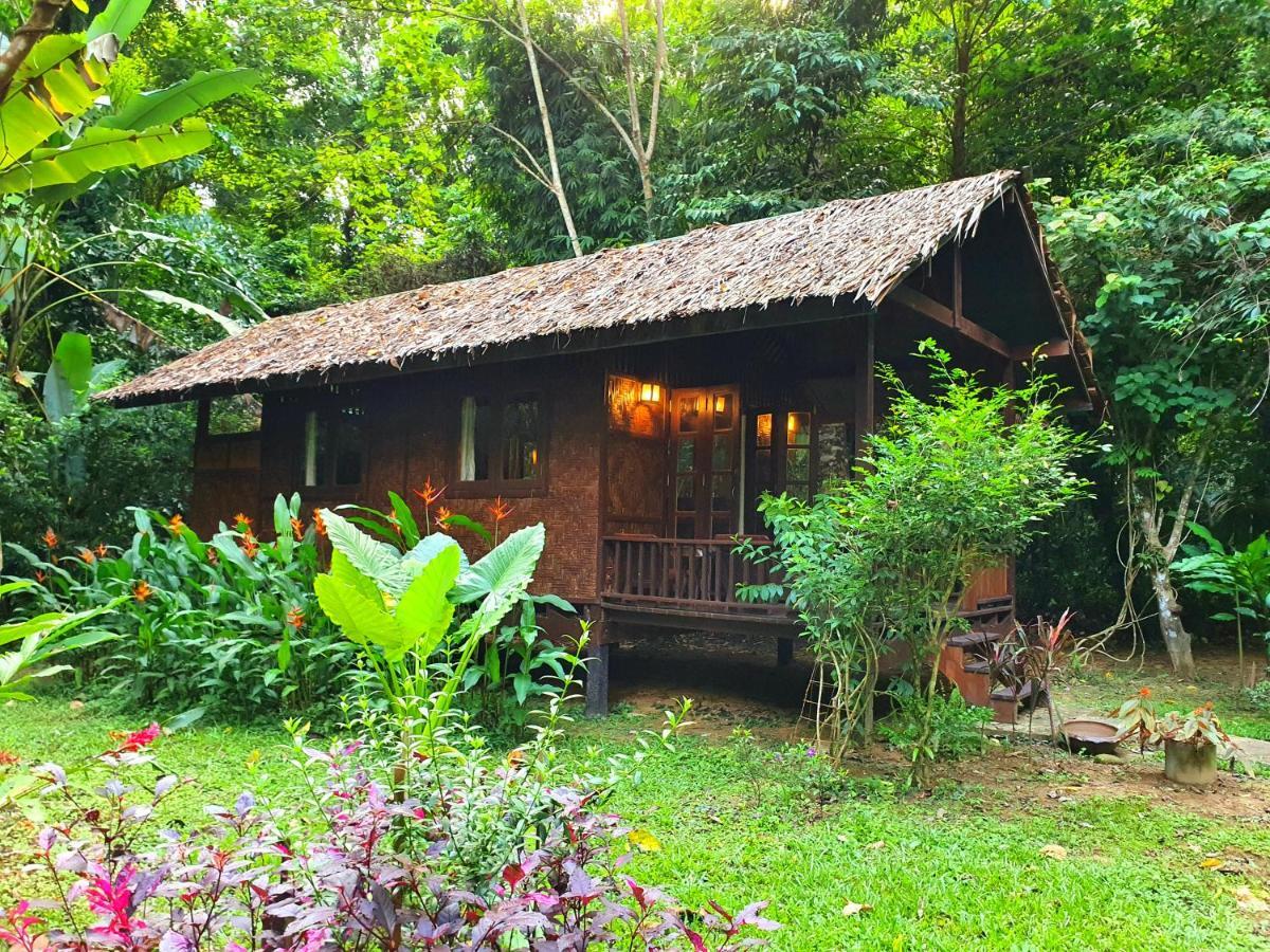 Our Jungle House Hotel Khao Sok National Park Bagian luar foto