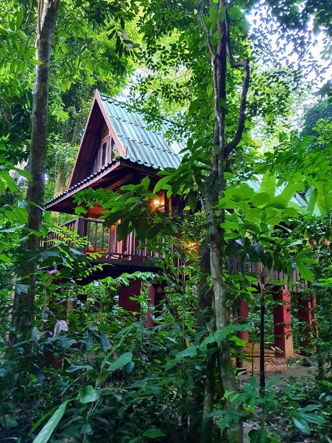 Our Jungle House Hotel Khao Sok National Park Bagian luar foto